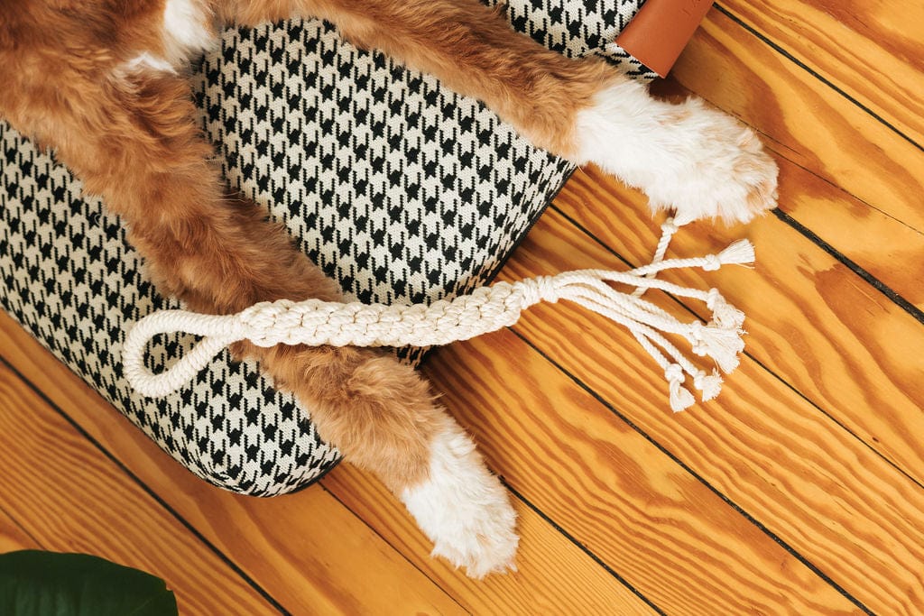 Macrame Rope Dog Toys: 2-Pack - HT Animal Supply