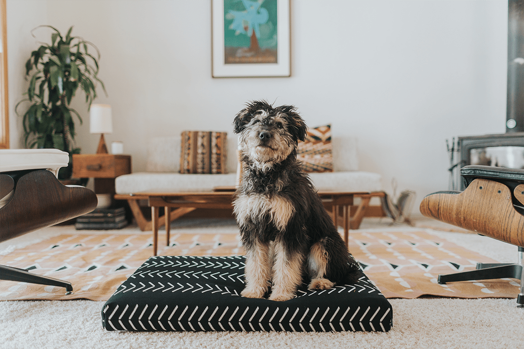 Black Chevron | Boho Dog Bed or Bed Cover