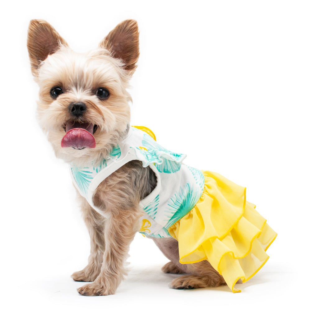 DOGO Leafy Dog Dress