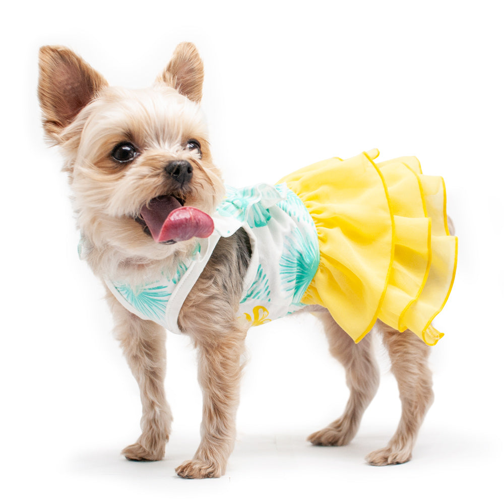 DOGO Leafy Dog Dress