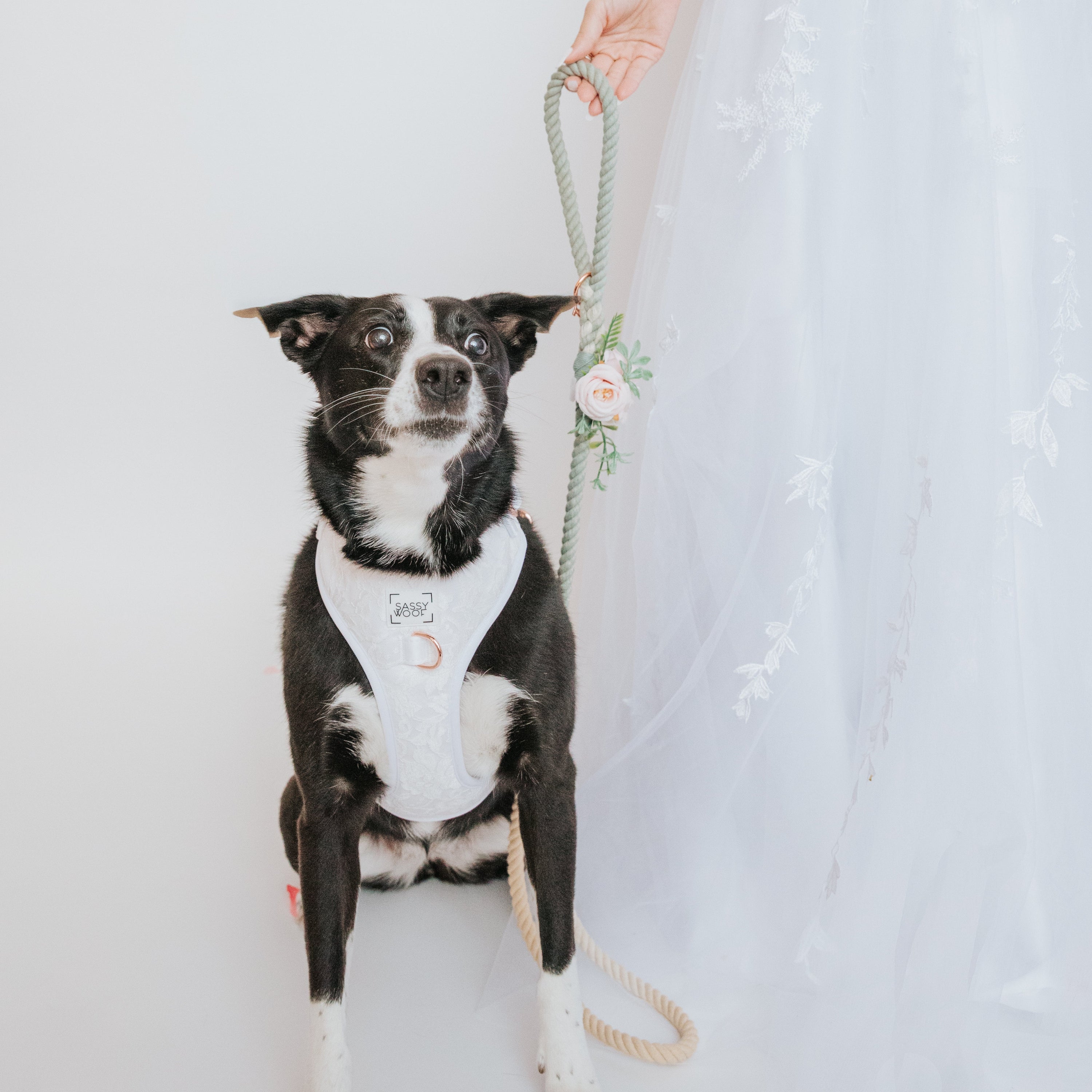 Dog Leash Flower Accessory