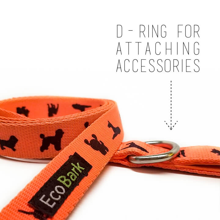 EcoBark Safety Orange Dog Leash- Padded Comfort Grip Leash with Dog Pattern - 4ft, 5ft, and 6ft Leash for Small and Medium Dogs
