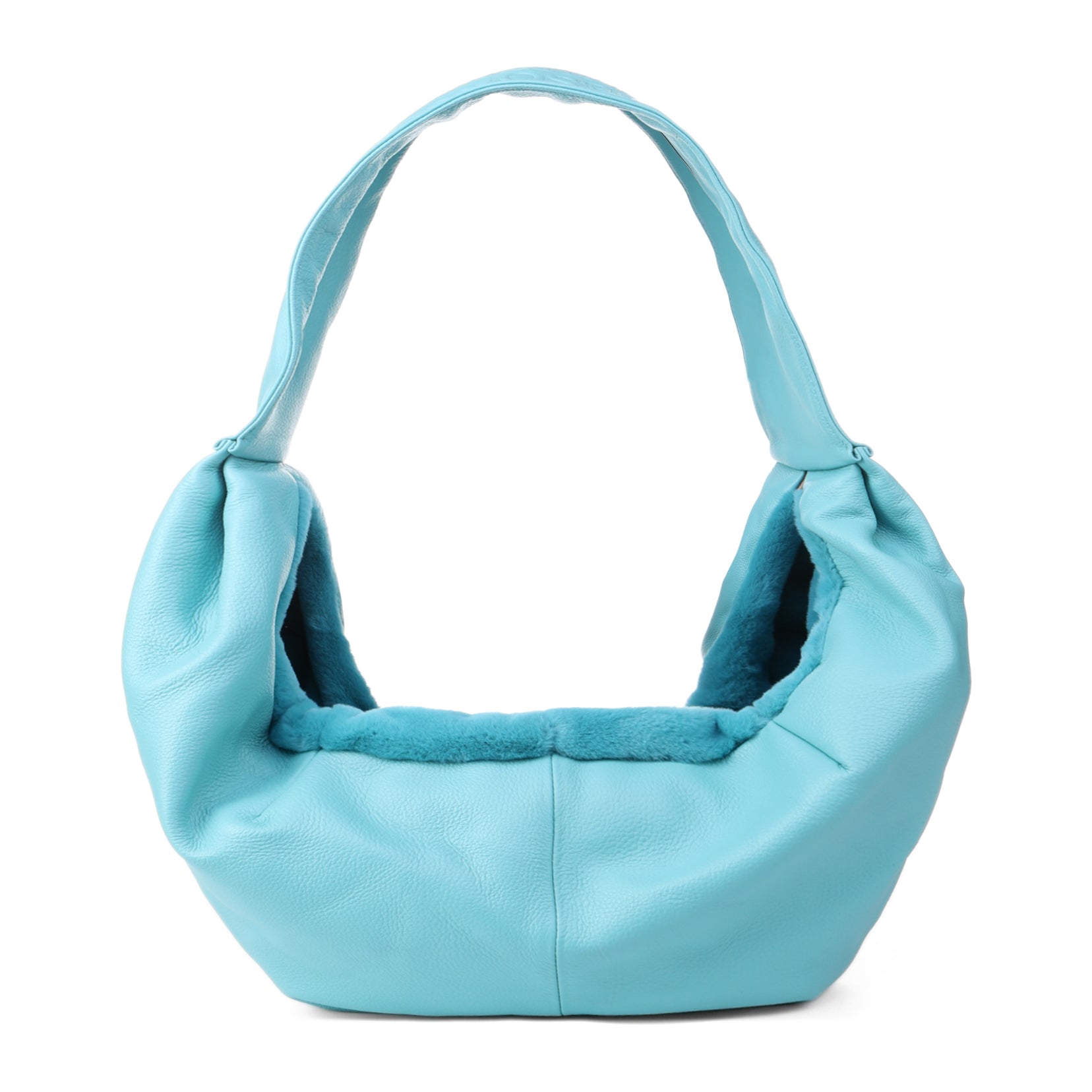 Crossbody Dog Carrier