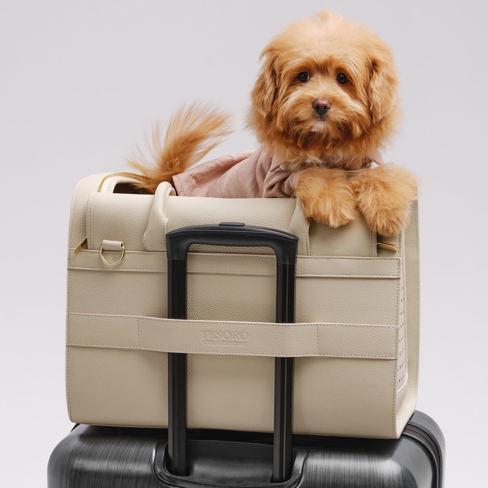 Travel Pet Carrier