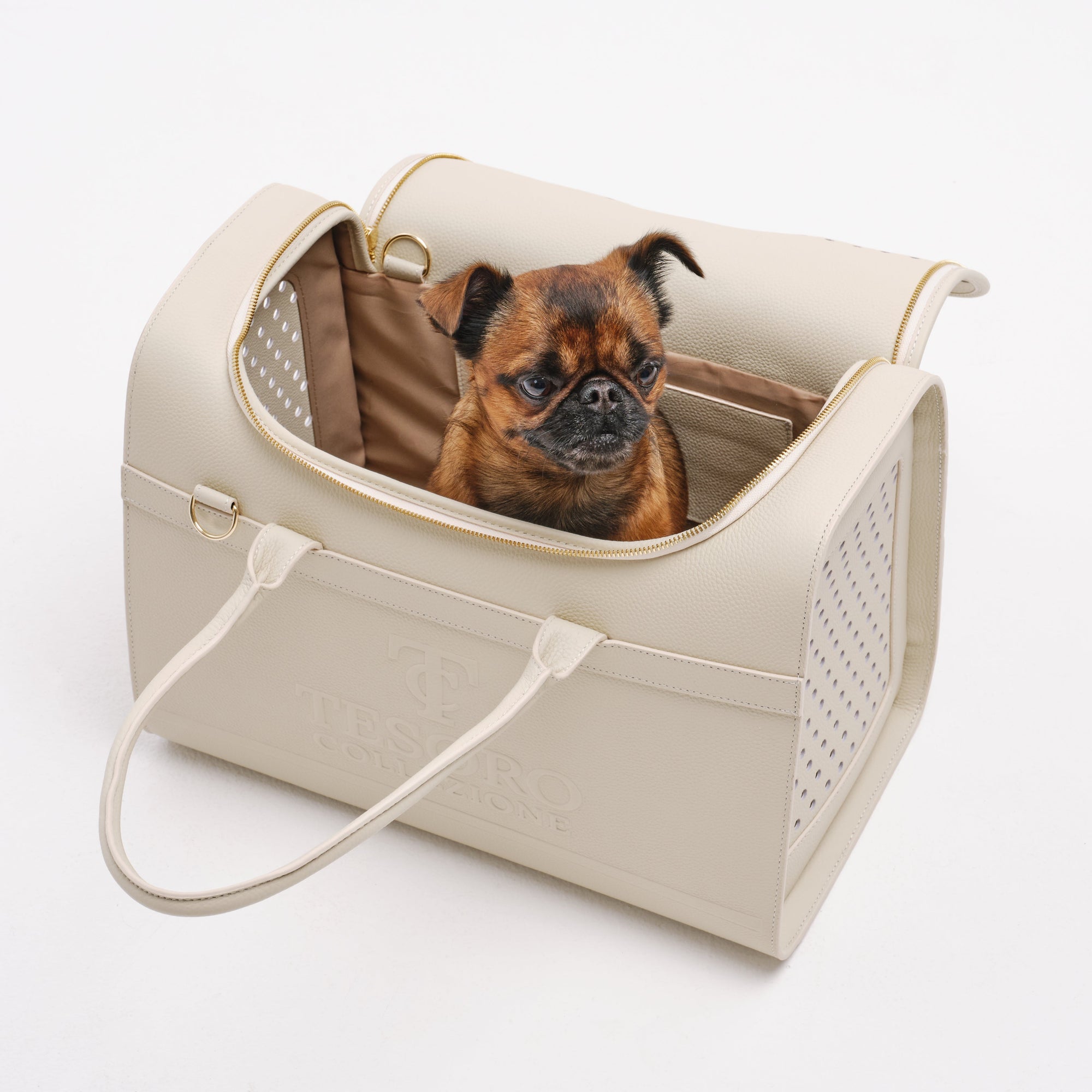 Travel Pet Carrier
