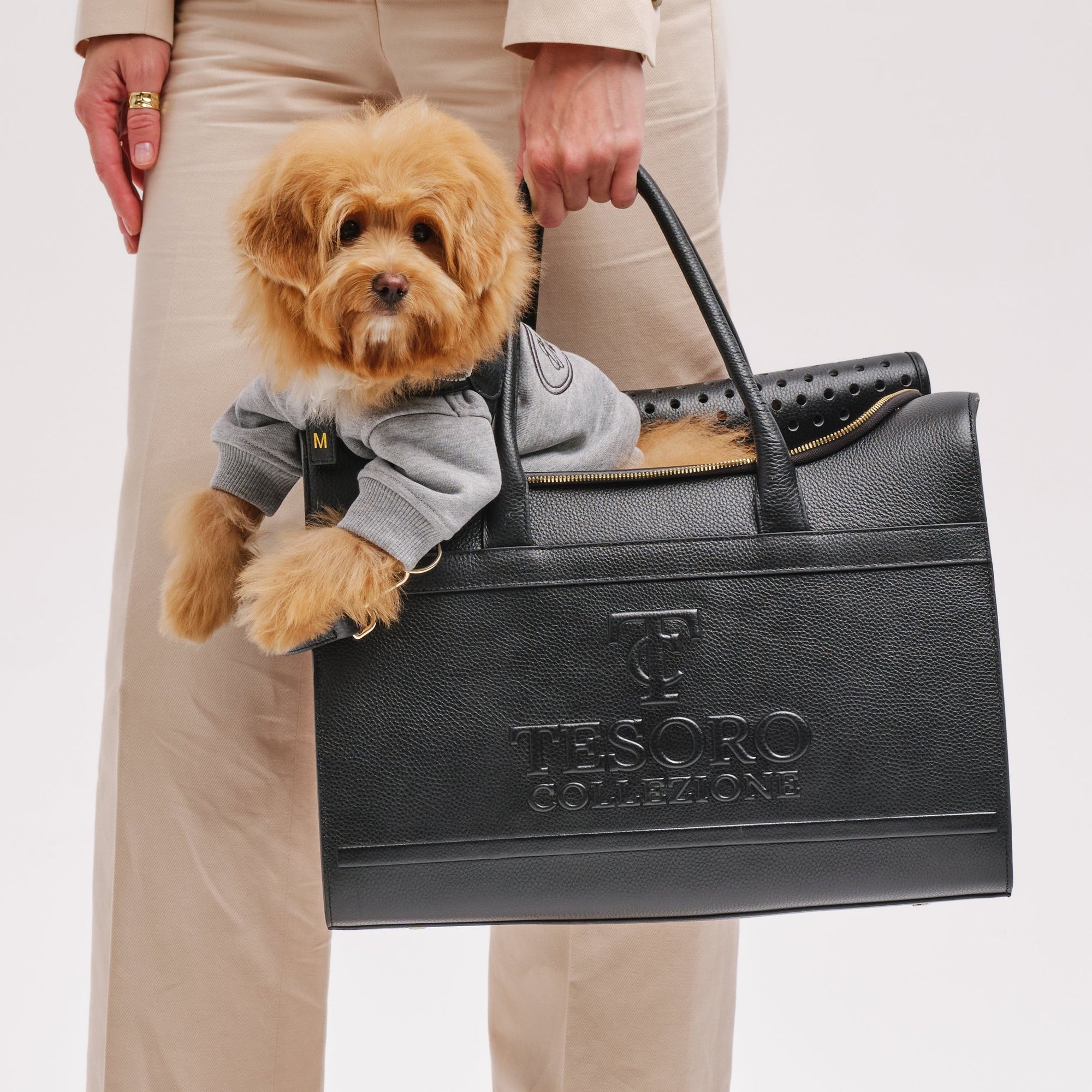 Travel Pet Carrier