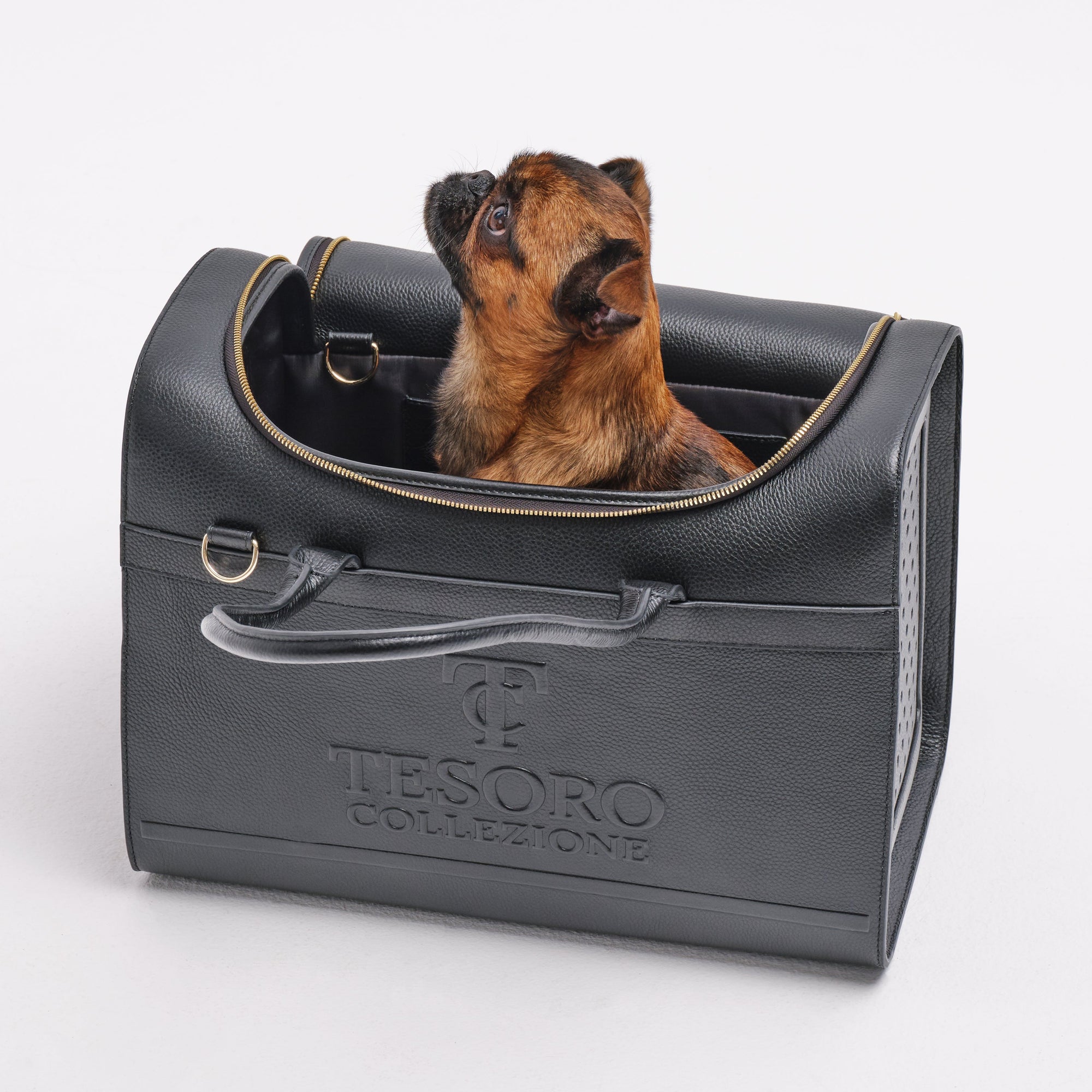 Travel Pet Carrier