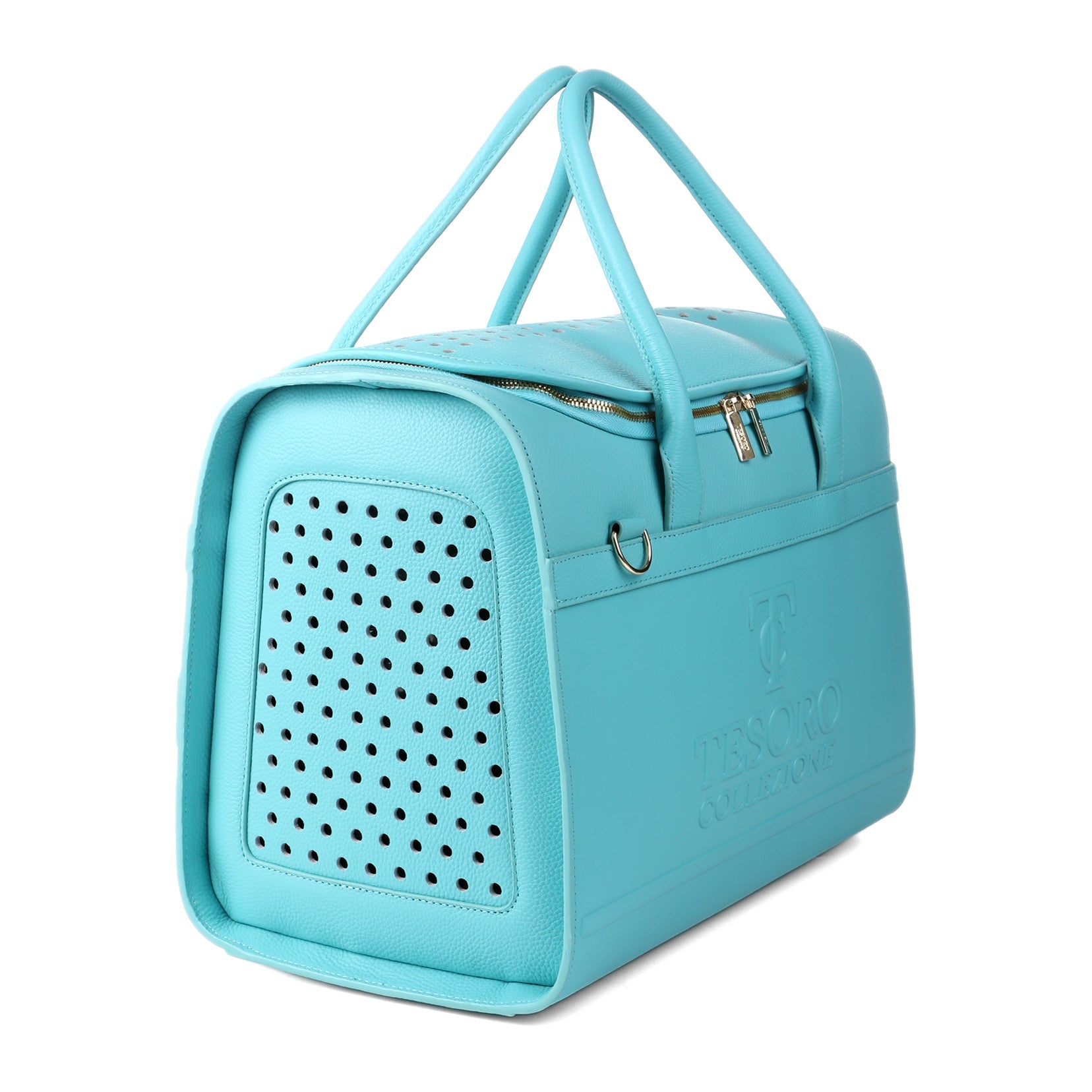 Travel Pet Carrier