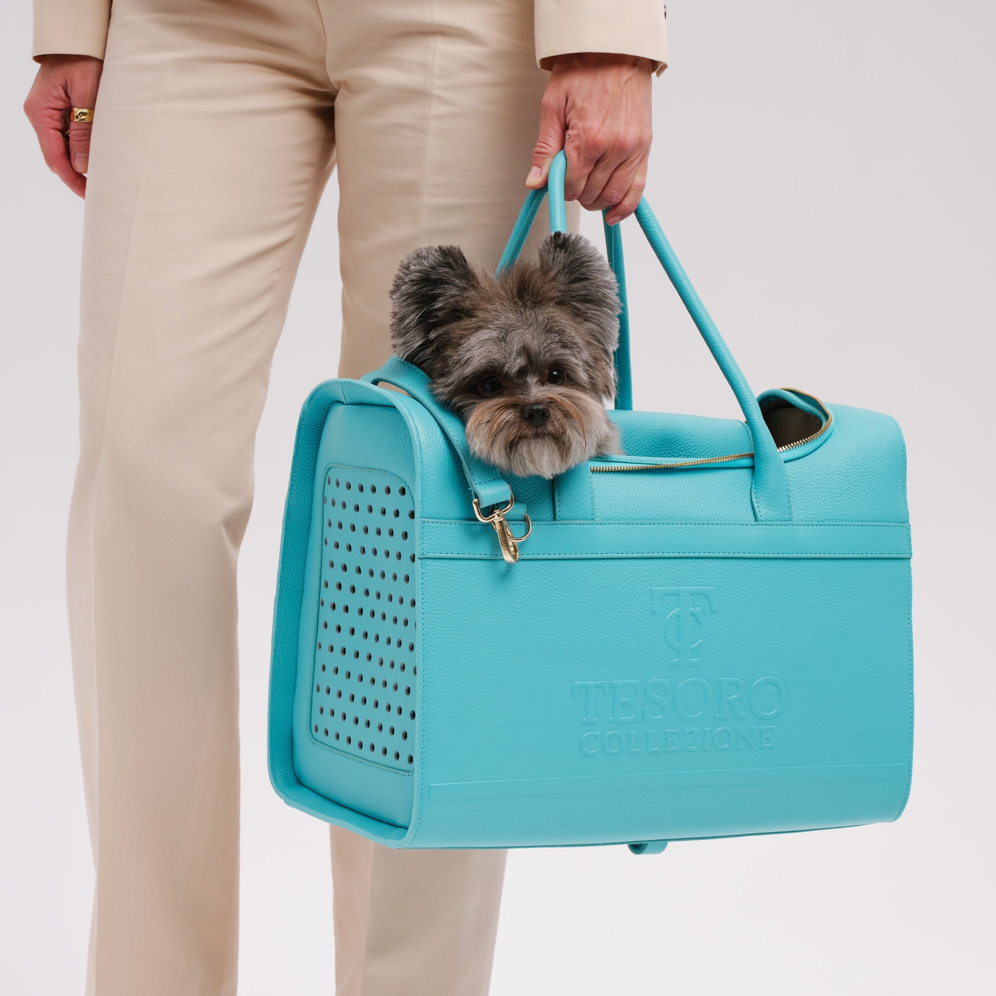 Travel Pet Carrier