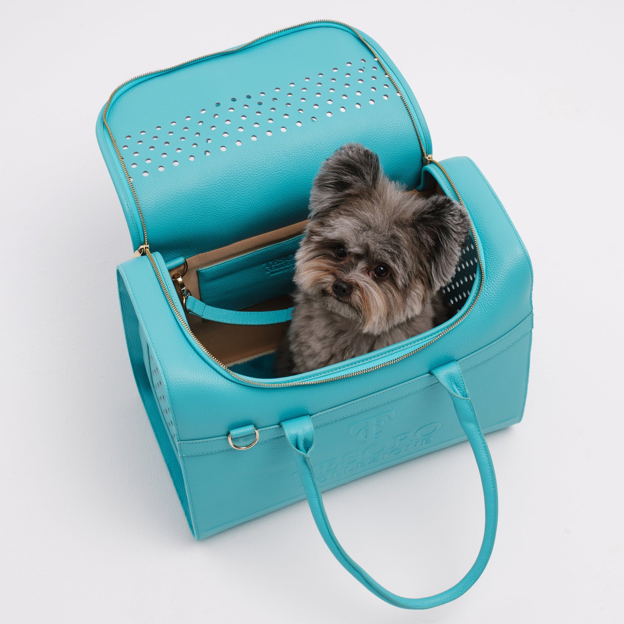 Travel Pet Carrier