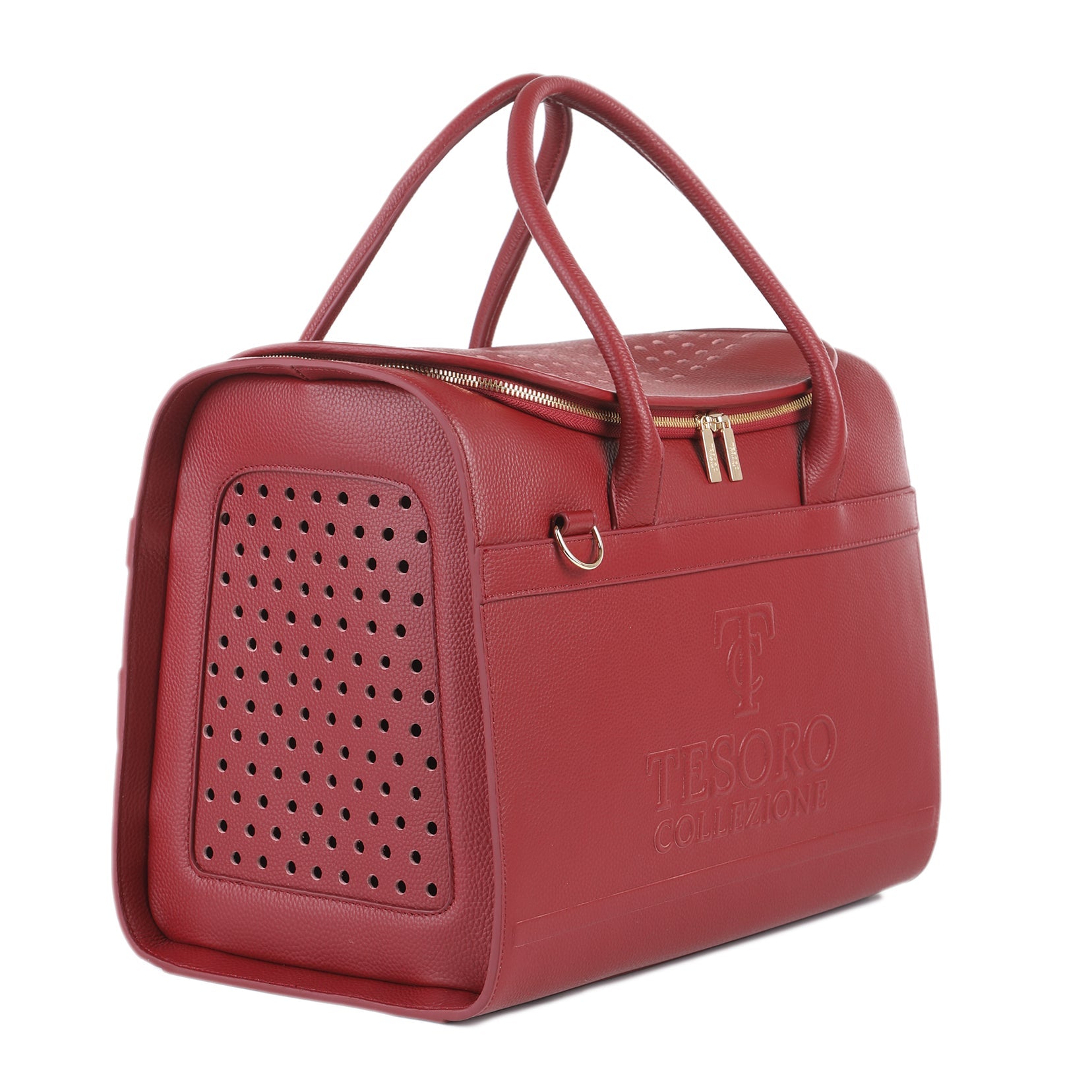 Travel Pet Carrier