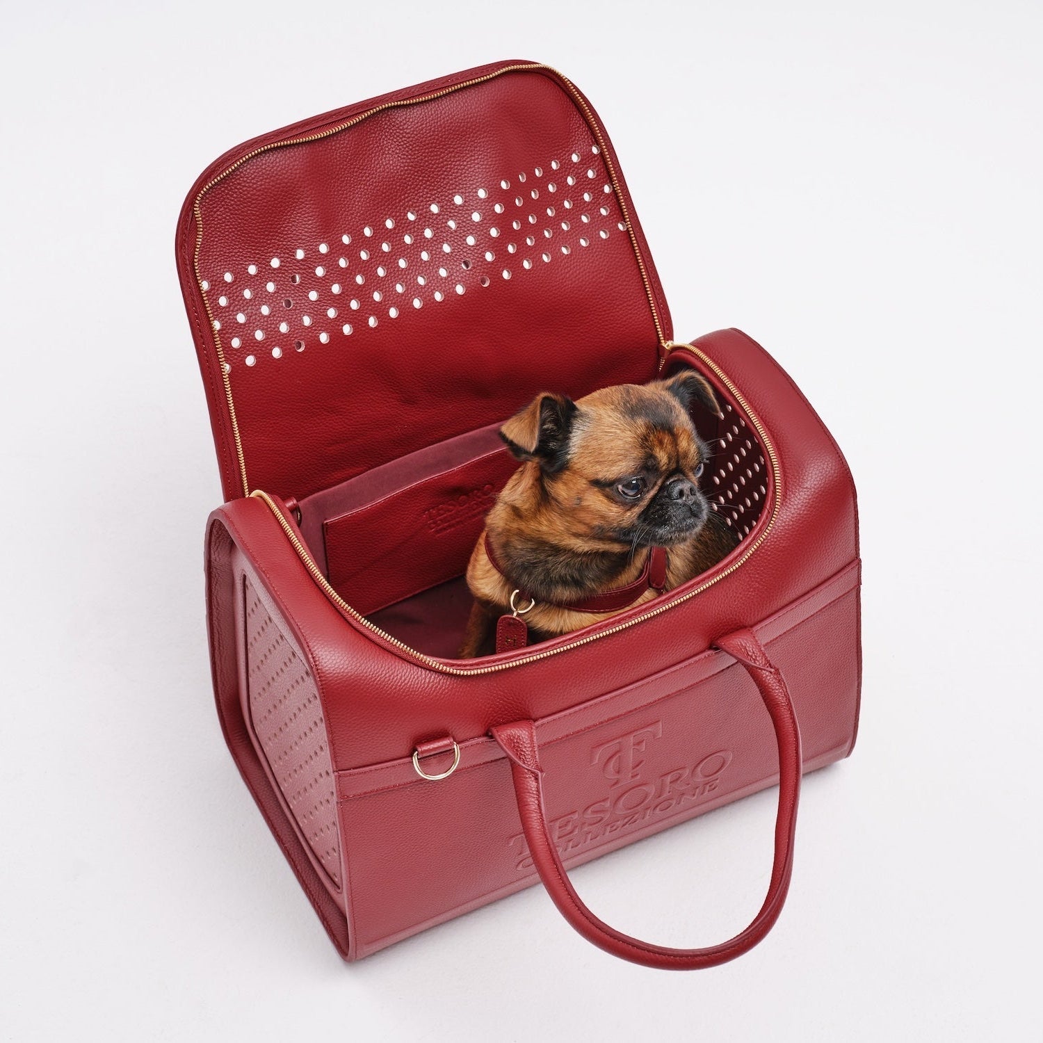 Travel Pet Carrier