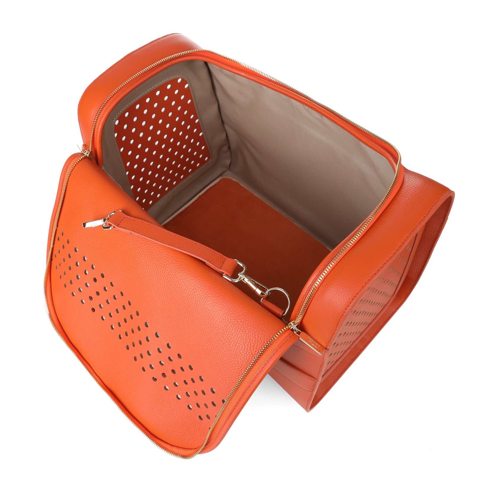 Travel Pet Carrier