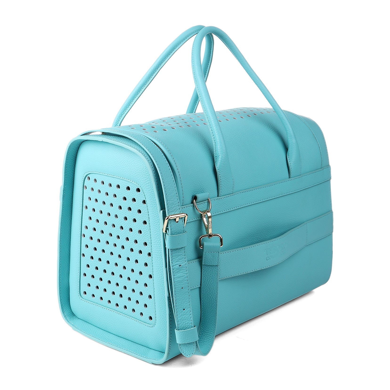 Travel Pet Carrier