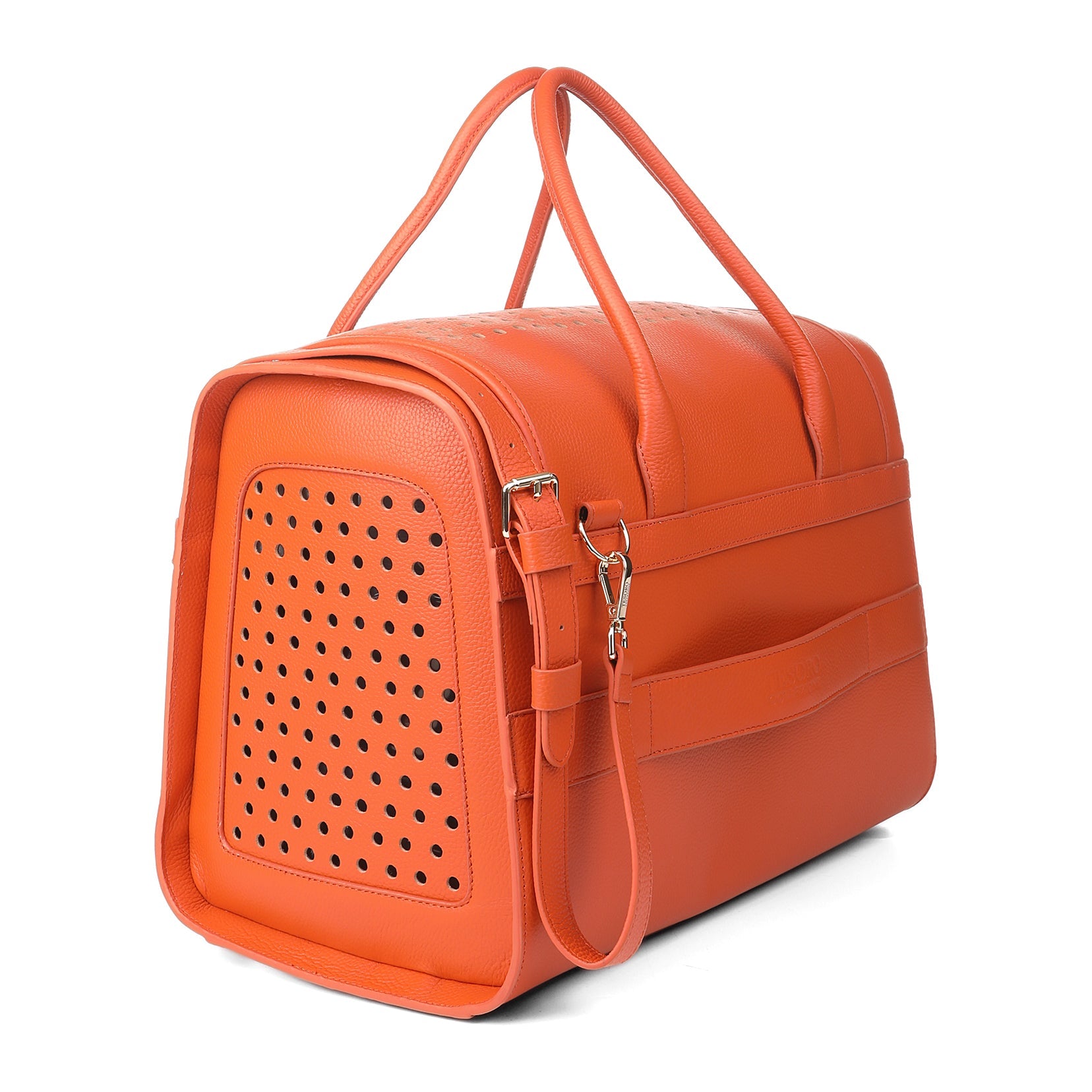 Travel Pet Carrier
