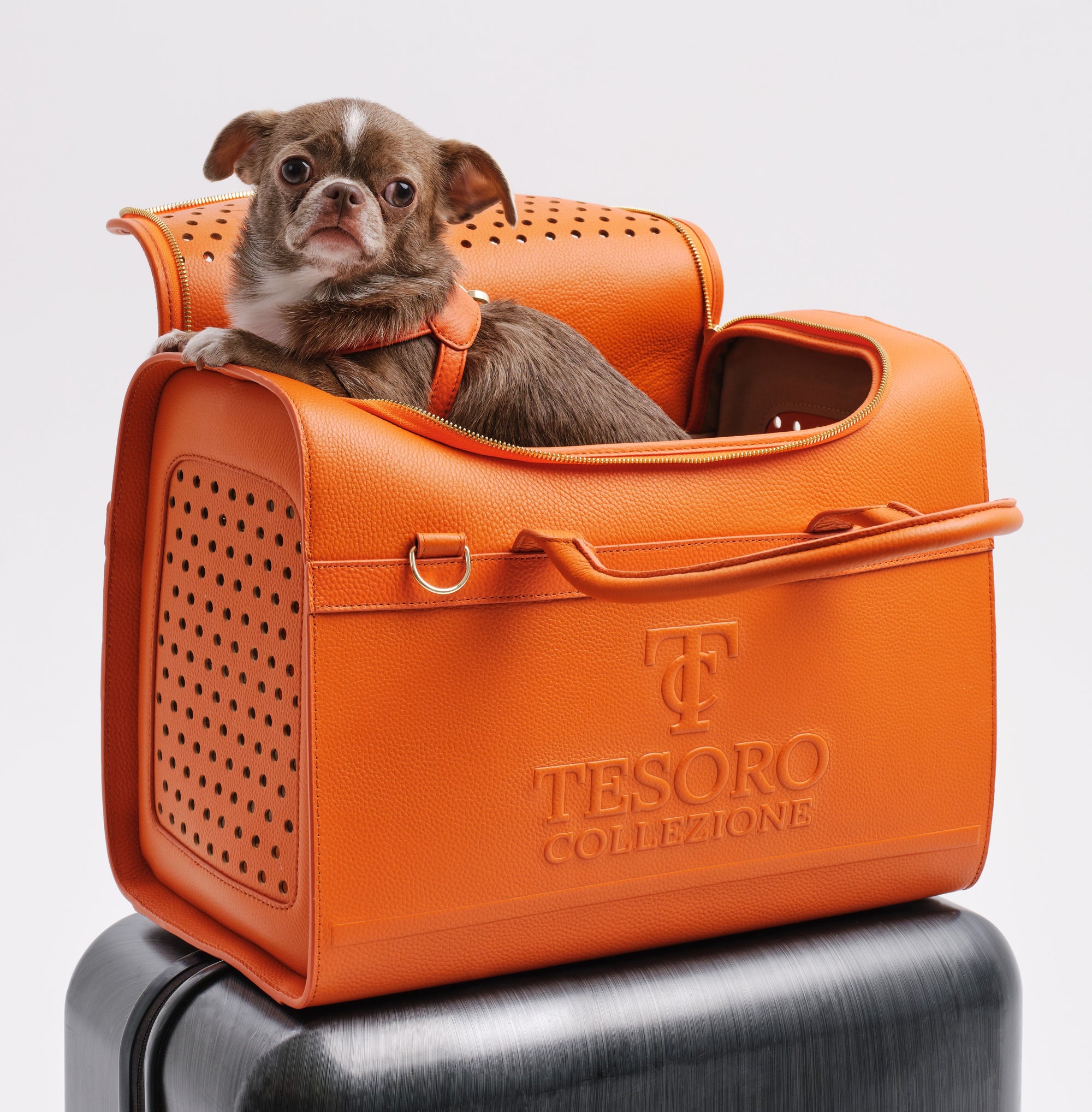 Travel Pet Carrier