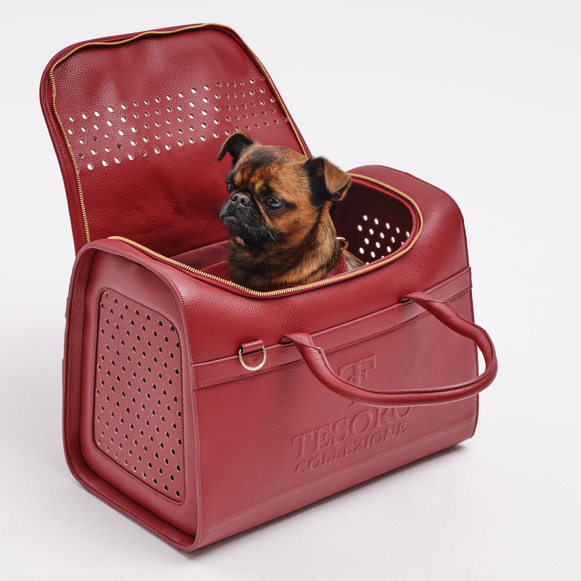 Travel Pet Carrier