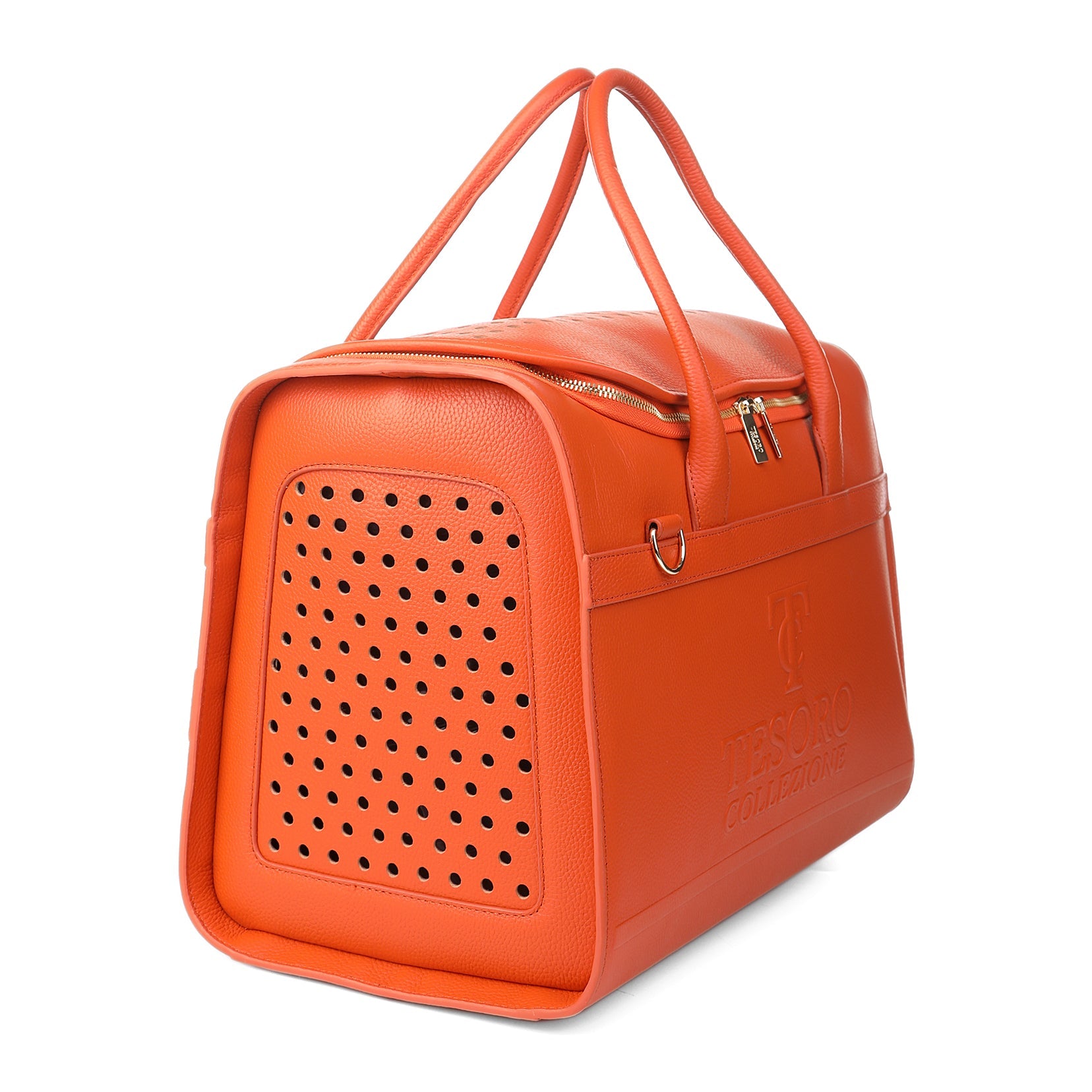 Travel Pet Carrier