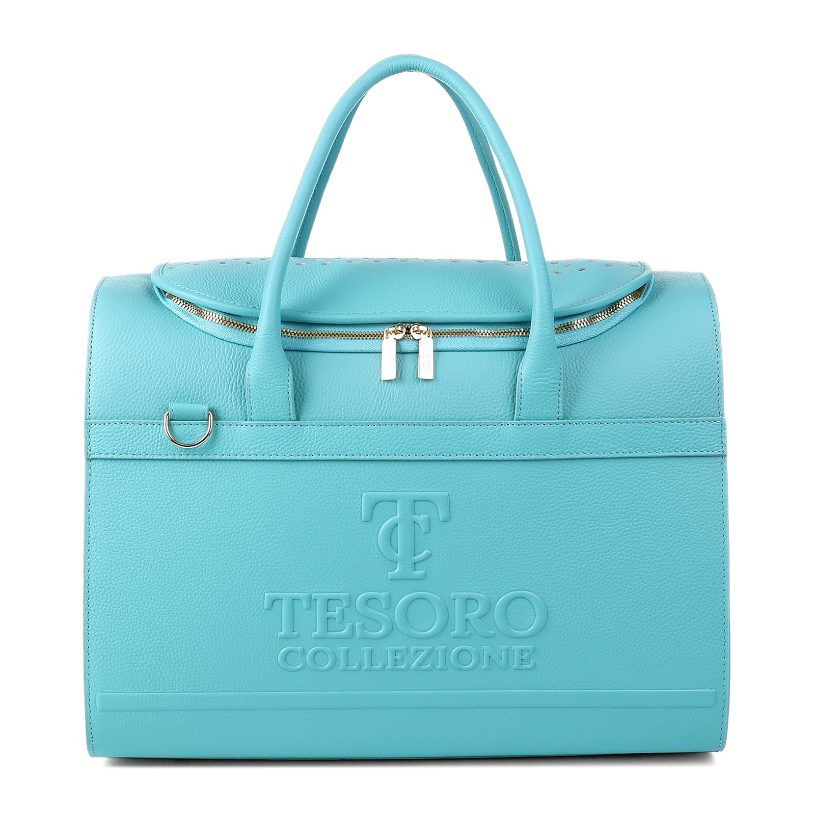 Travel Pet Carrier