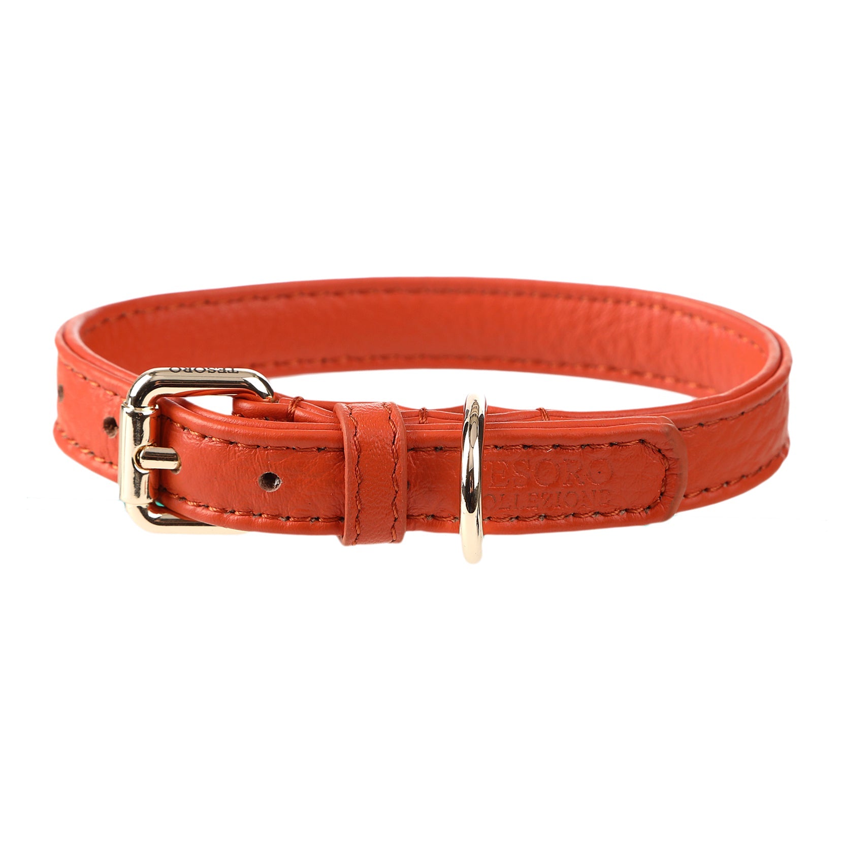 Dog Collar