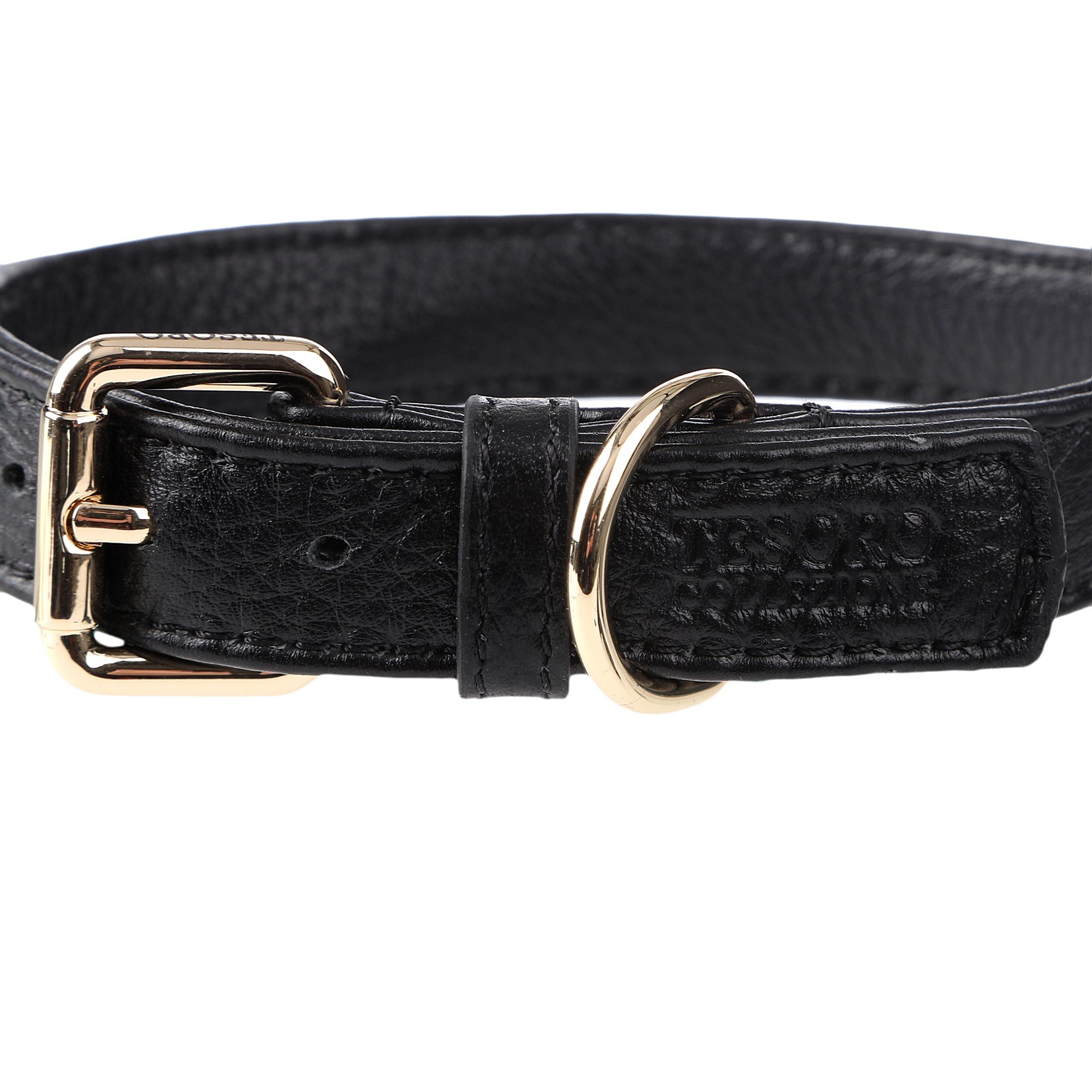 Dog Collar