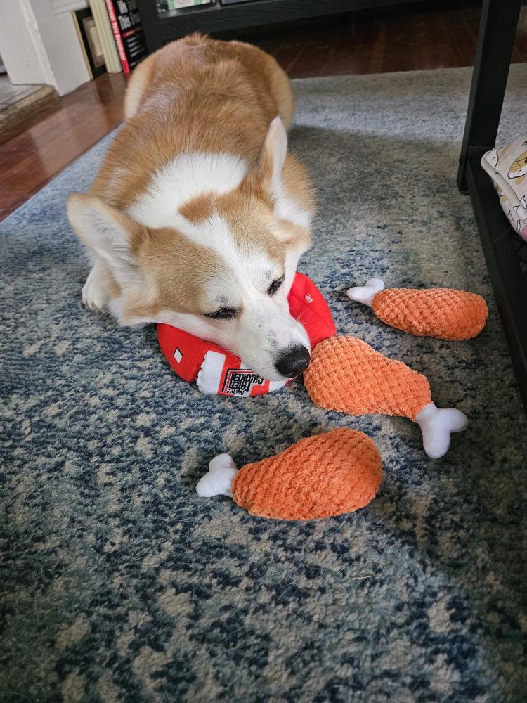 Pawty Fried Chicken Interactive Snuffle Dog Toy