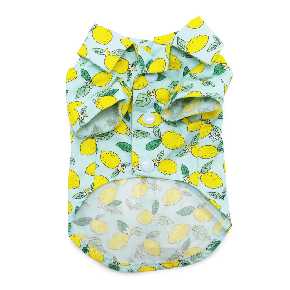 DOGO Blue Lemon Dog Shirt