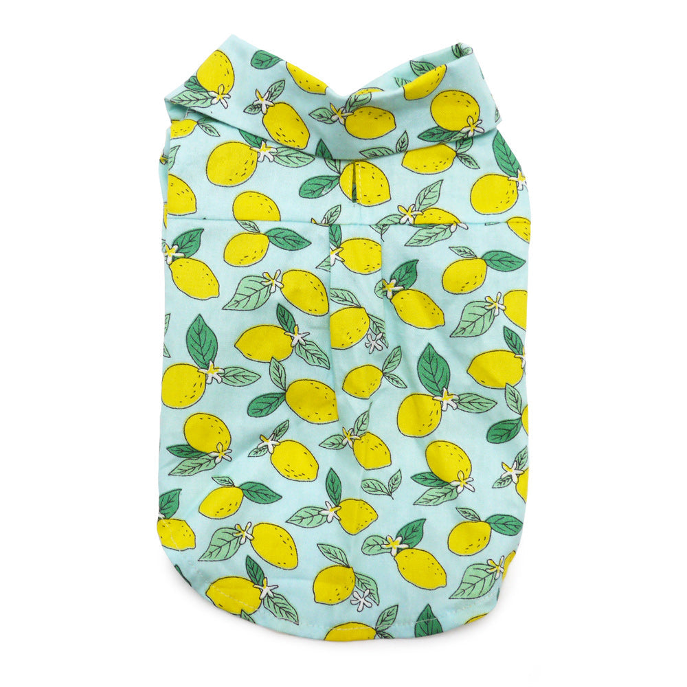 DOGO Blue Lemon Dog Shirt