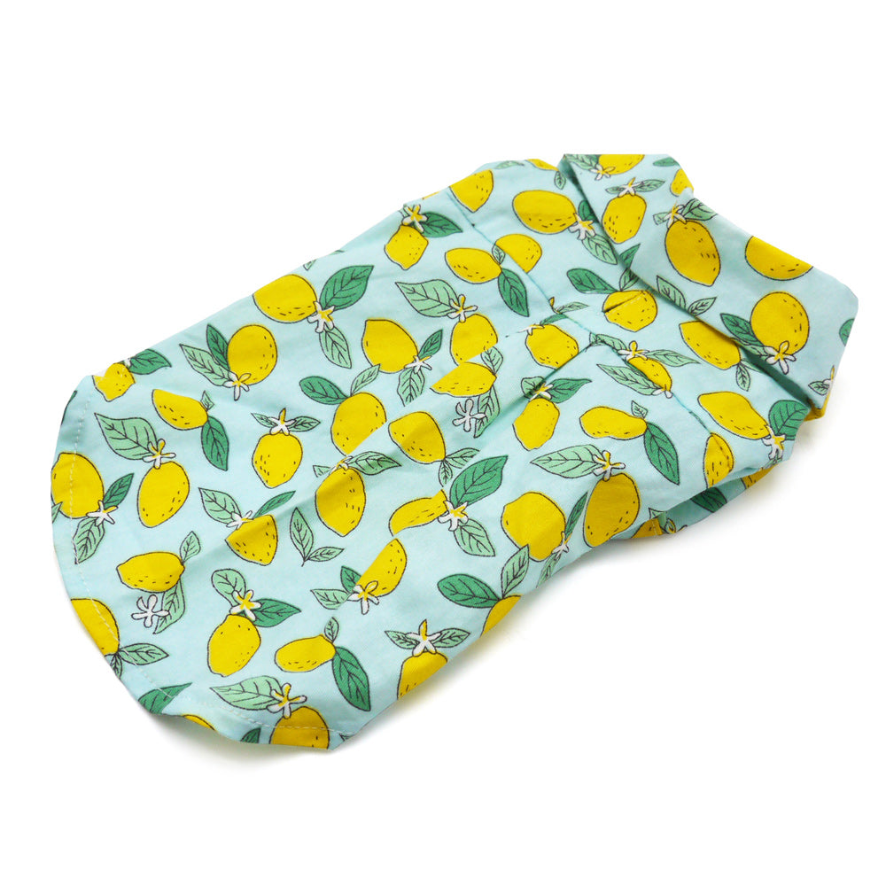 DOGO Blue Lemon Dog Shirt