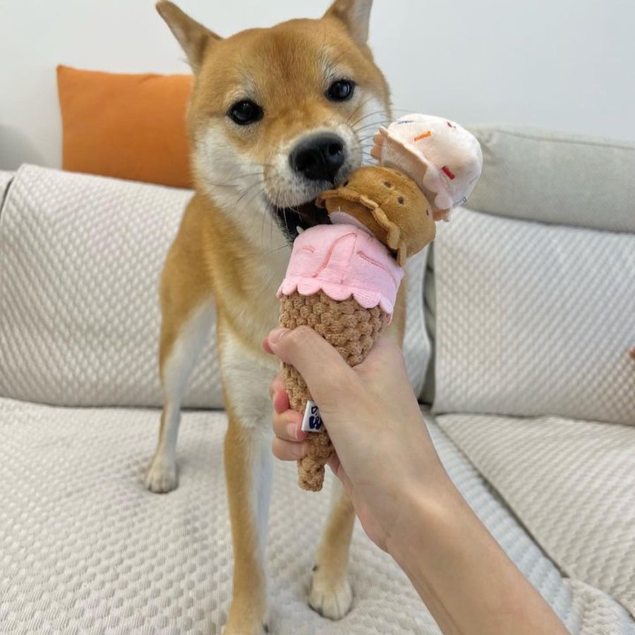Pet Toy: ICE CREAM PLUSH DOG TOY