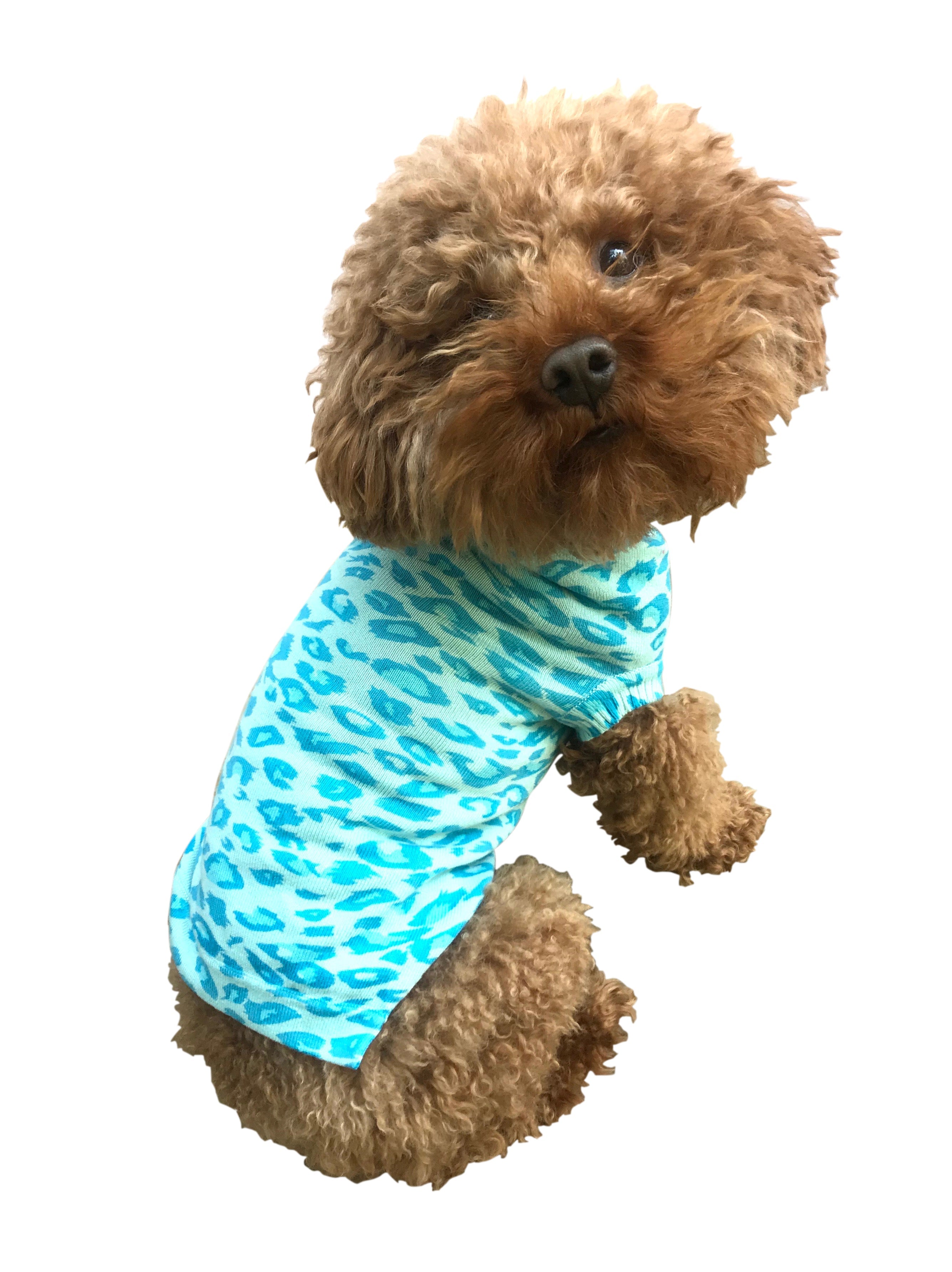 Summer Leopard Sweater, Turquoise