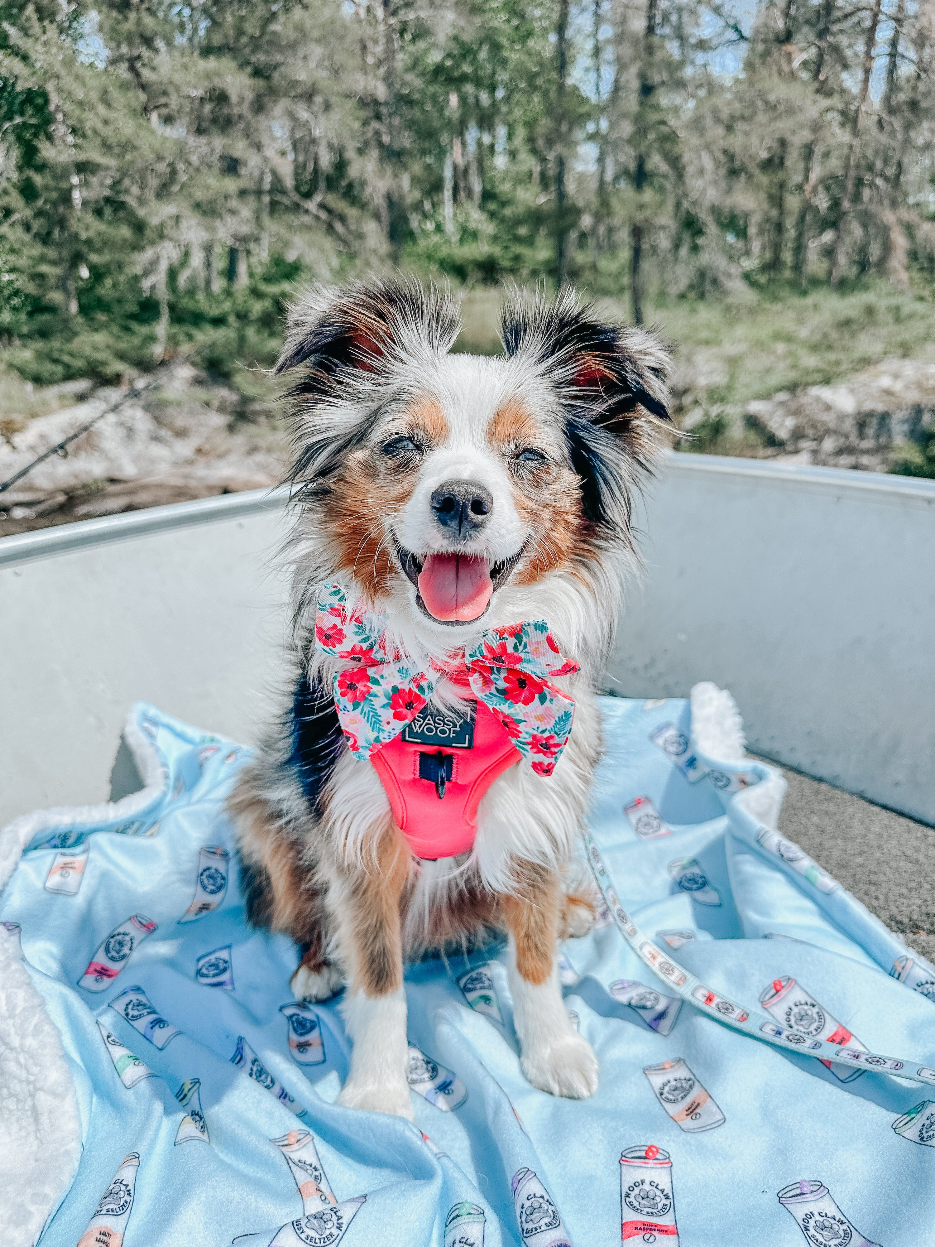 Dog Reversible Harness - Floral Frenzy