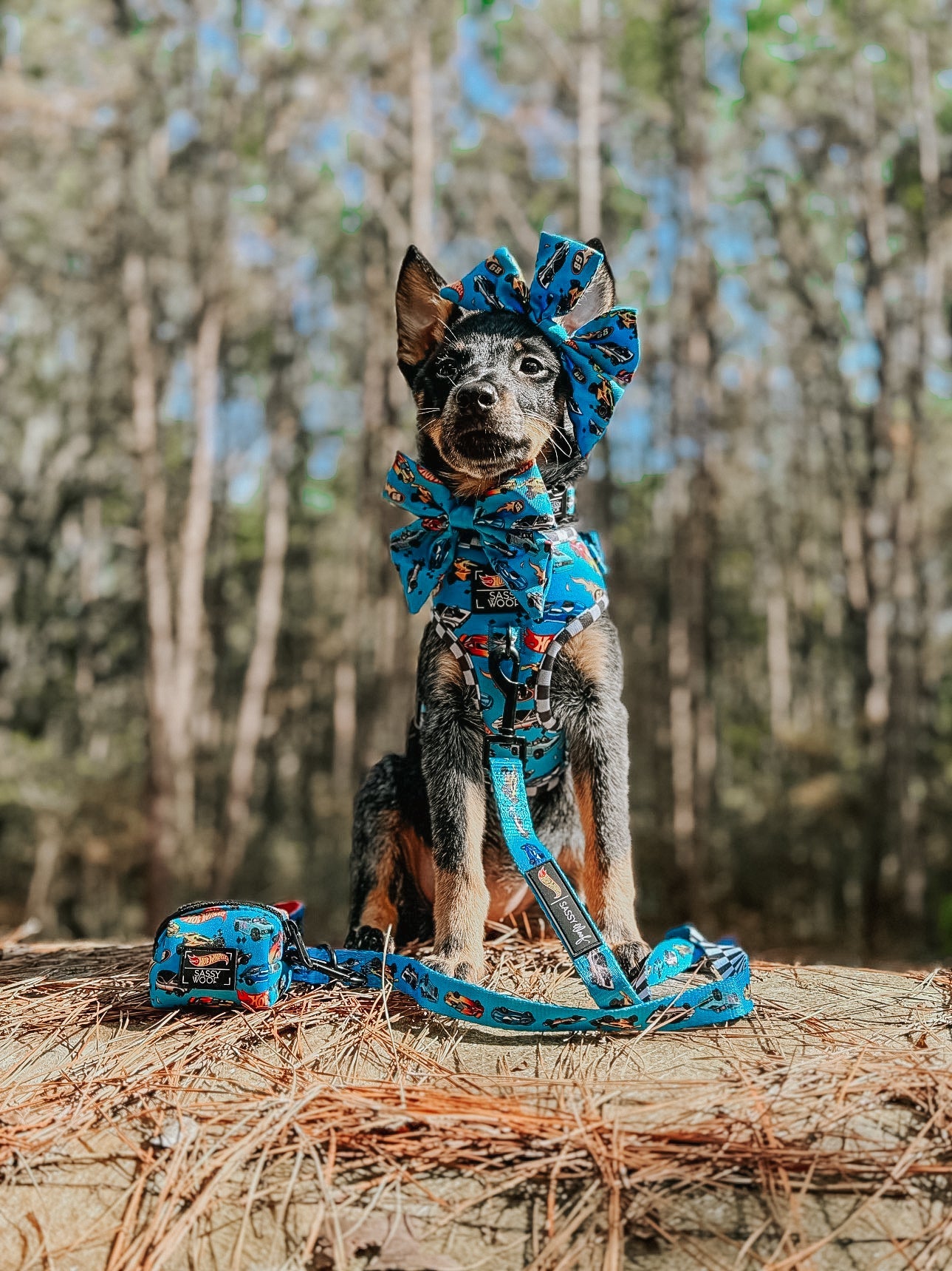 Dog Adjustable Harness - Hot Wheels™