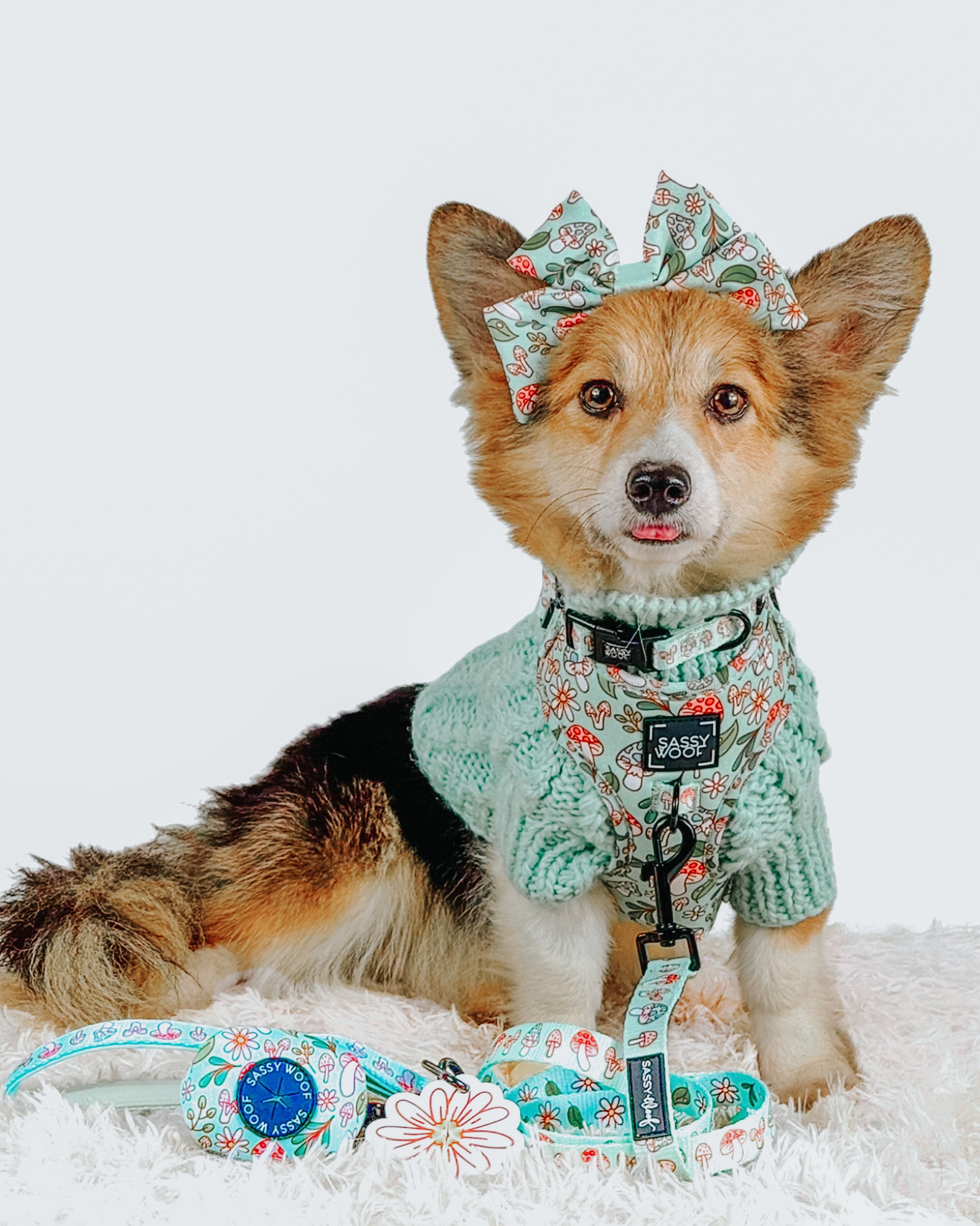 Dog Adjustable Harness - Shrooms & Blooms