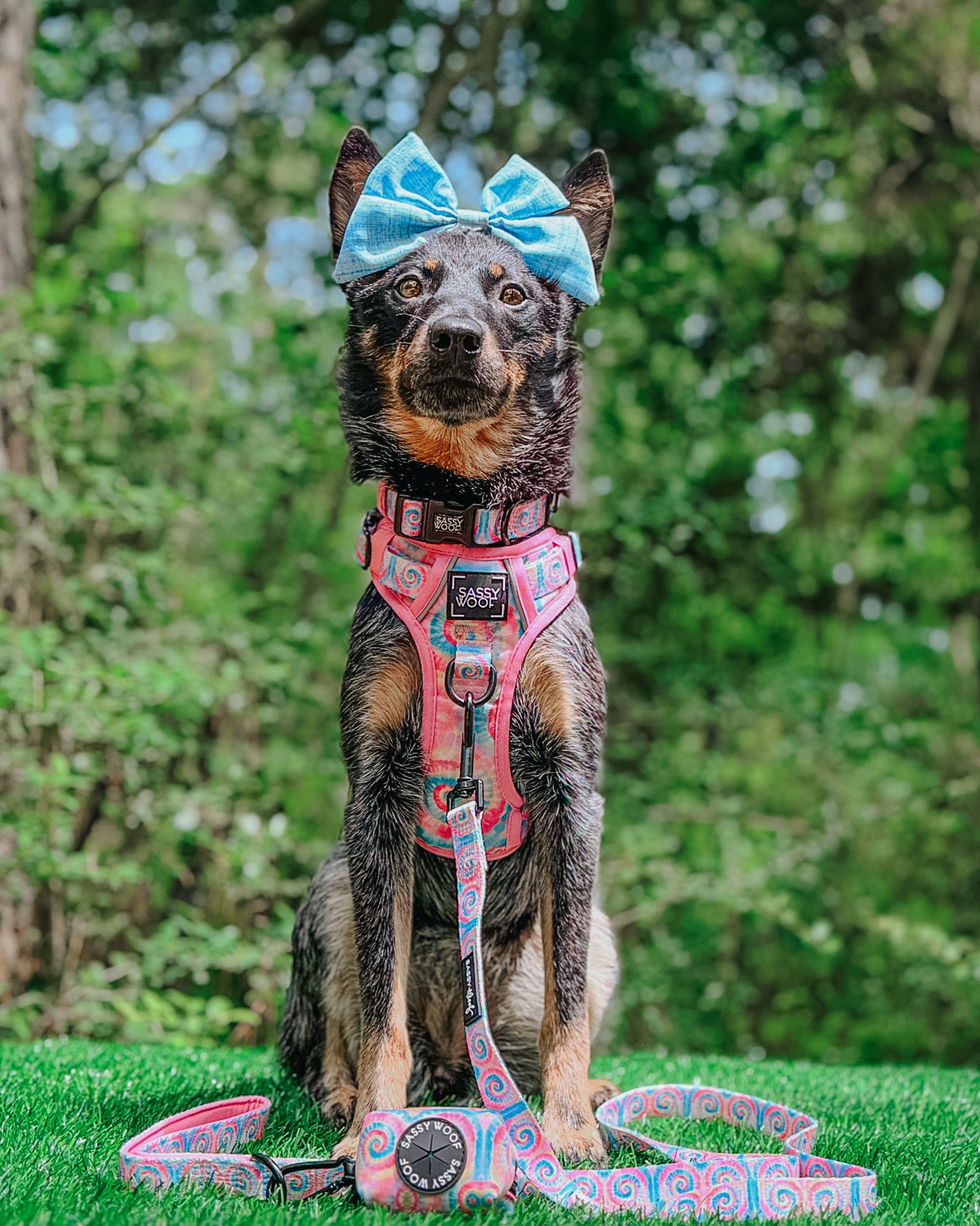 Dog Step-in Harness - Good Vibes