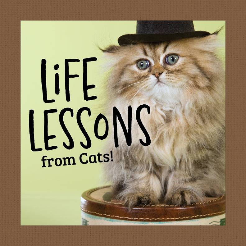 Cover of Life Lessons from Cats! – Hardback, ISBN 9781497105591