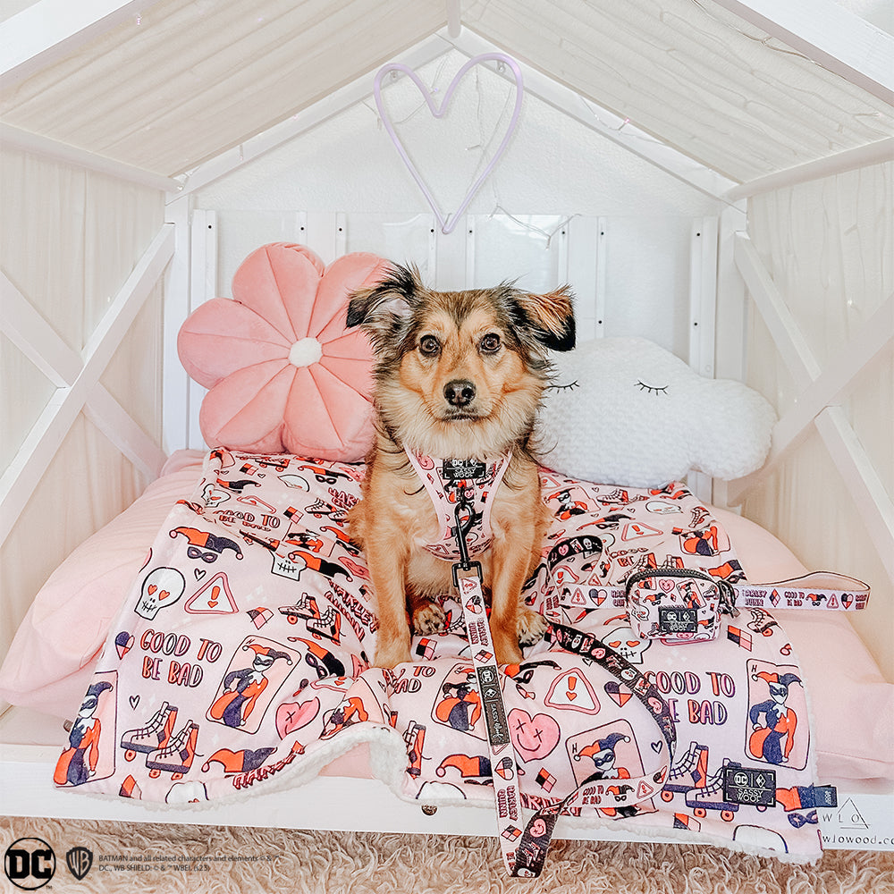 Dog Adjustable Harness - Harley Quinn™