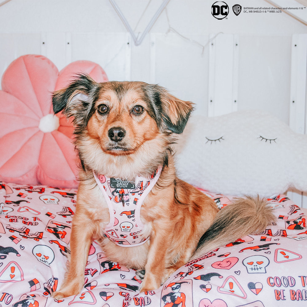 Dog Adjustable Harness - Harley Quinn™