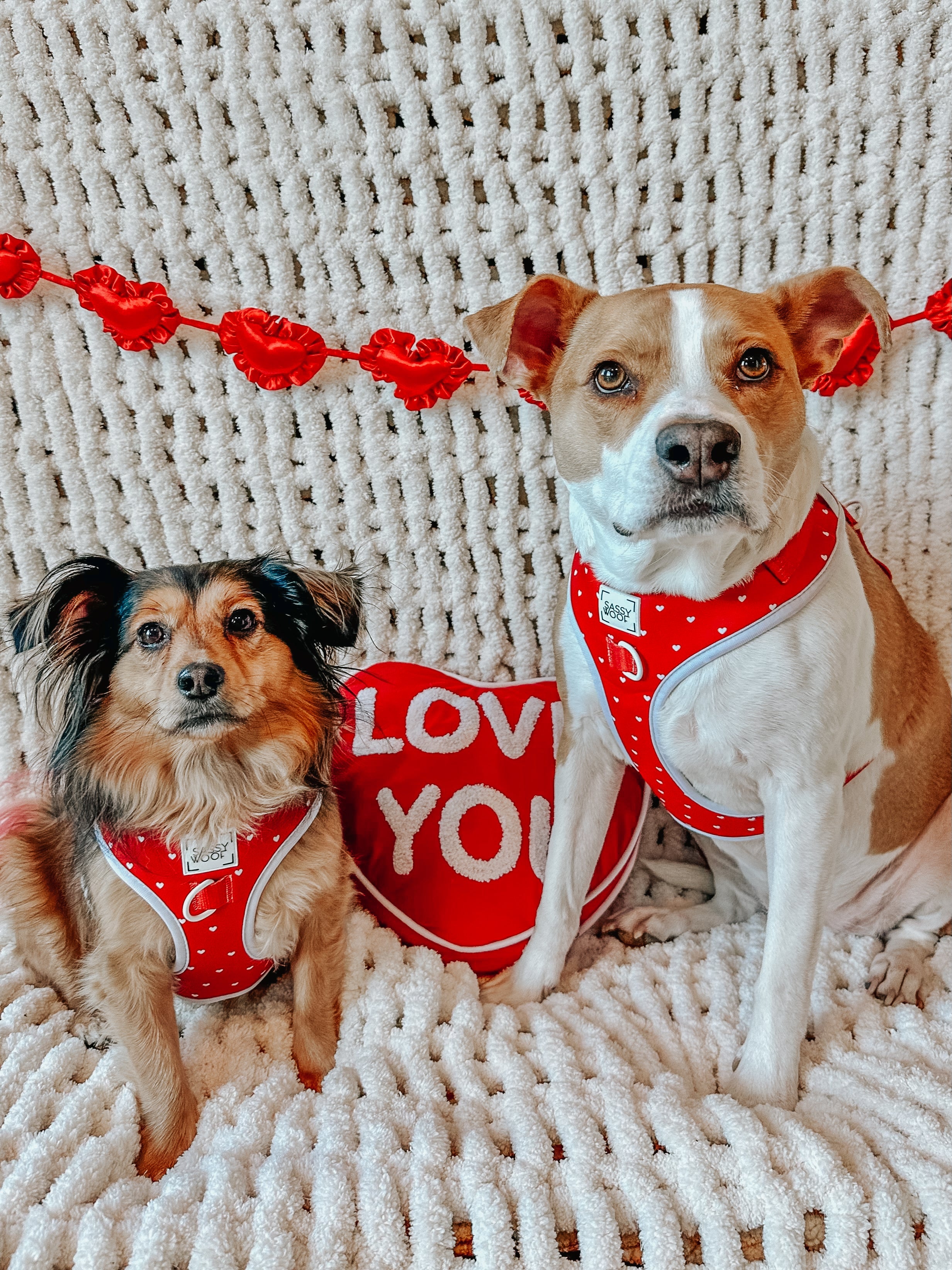 Dog Adjustable Harness - Little Love