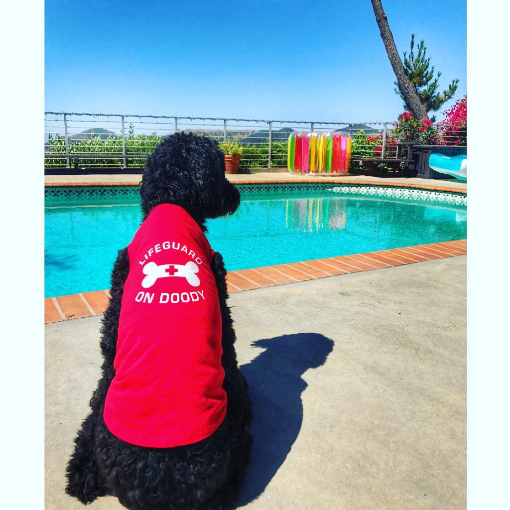 Parisian Pet Lifeguard on Doody Dog T-Shirt-Red