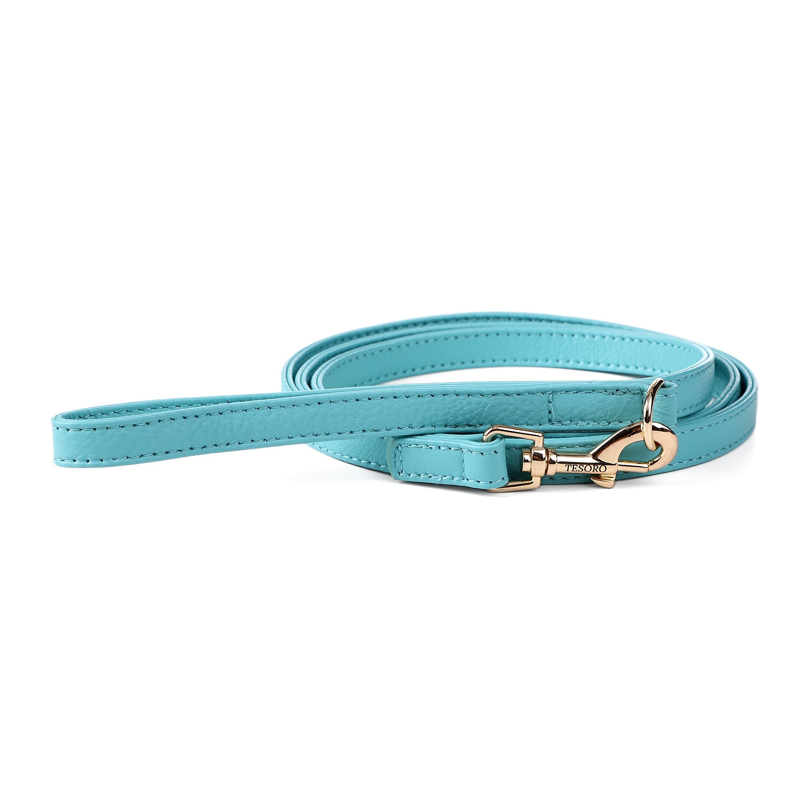 Dog Leash