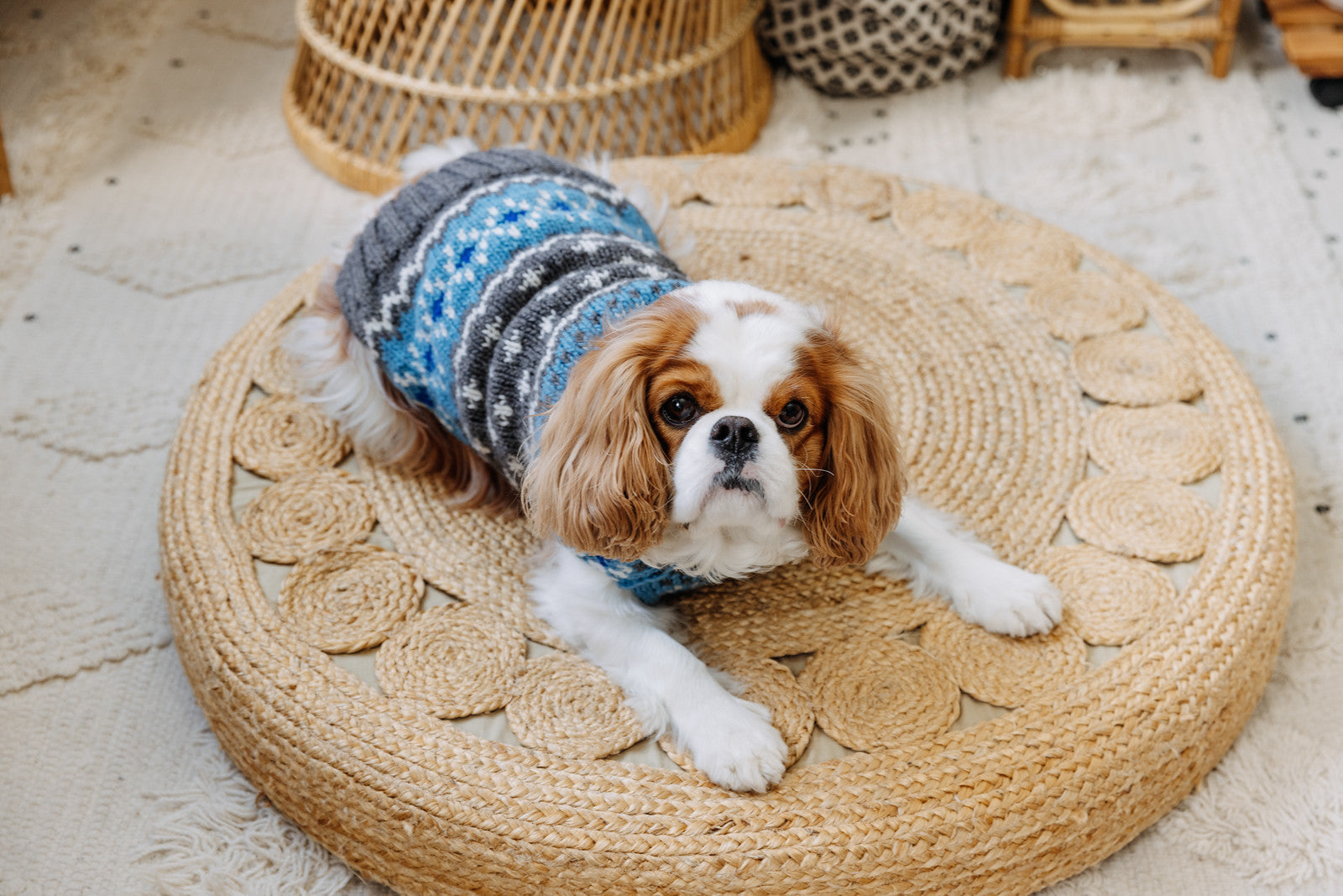 Light Blue Fair Isle Dog Sweater