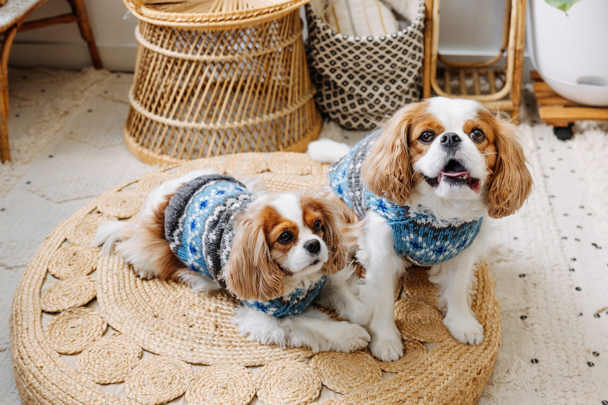 Chilly Dog Light Blue Fair Isle Wool Dog Sweater