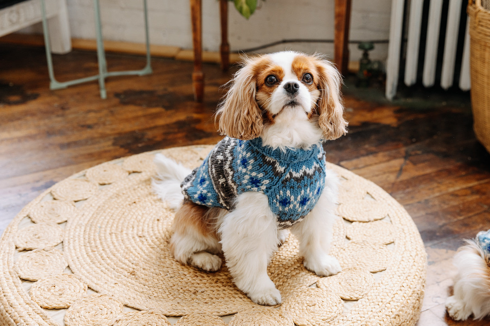 Light Blue Fair Isle Dog Sweater