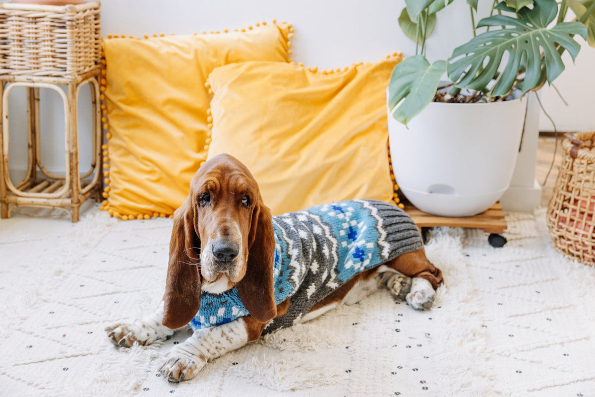 Chilly Dog Light Blue Fair Isle Wool Dog Sweater