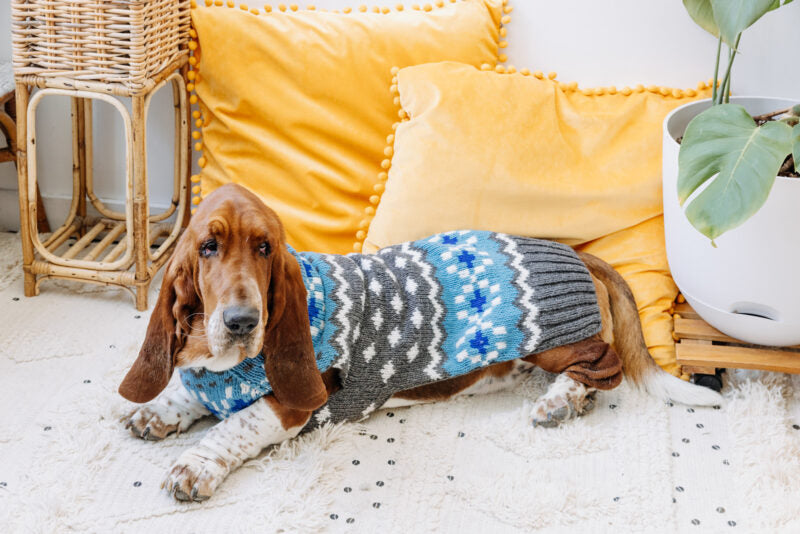 Chilly Dog Light Blue Fair Isle Wool Dog Sweater