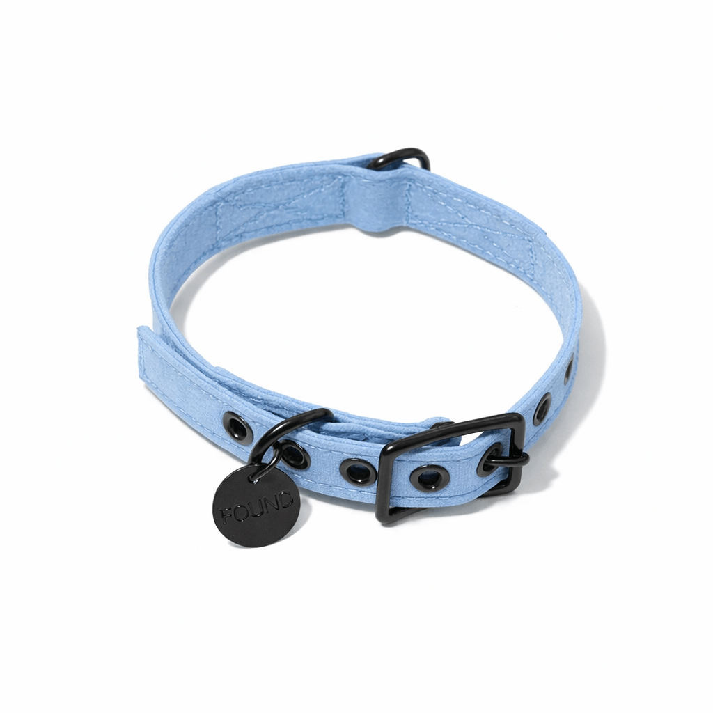 Light Blue Waxed Cotton Canvas Cat & Dog Collar – Matte Black Hardware