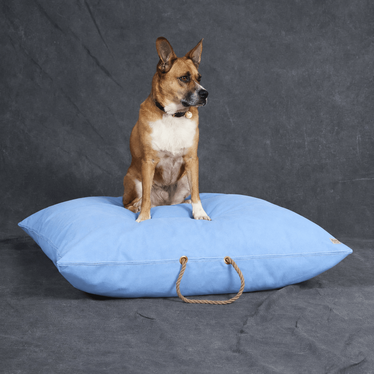Light Blue Waxed Cotton Canvas Dog Bed