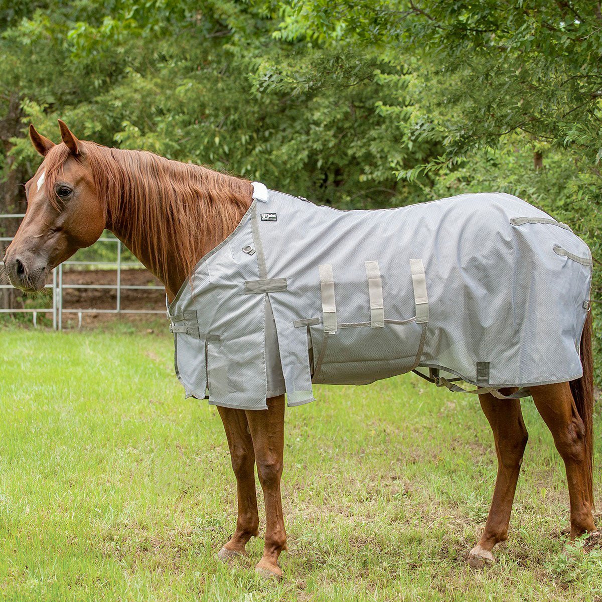 Cashel – Lightweight Fly Sheet for Horses