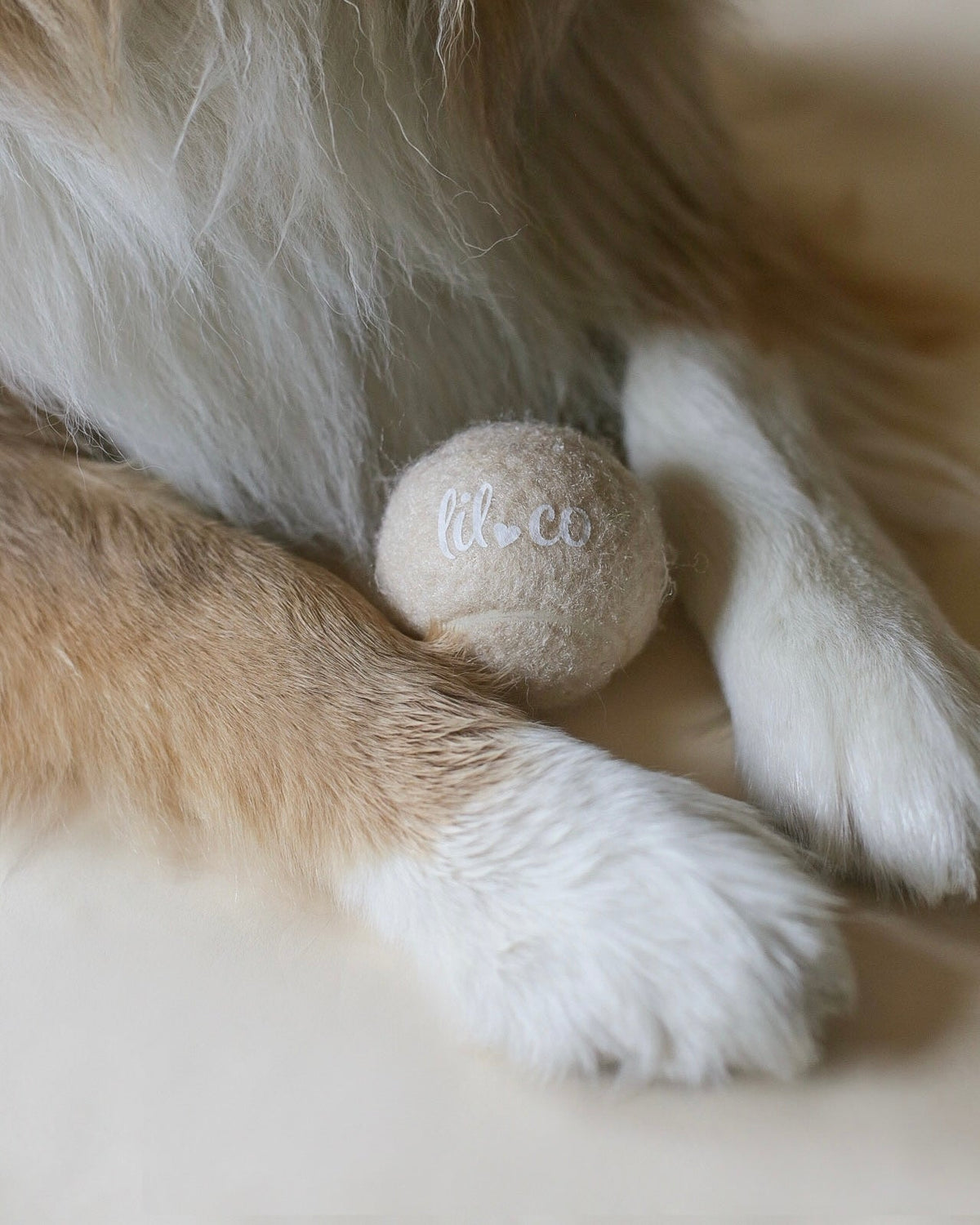 Lilco Tennis Ball | Moonbeam